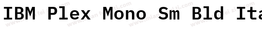 IBM Plex Mono Sm Bld Italic字体转换